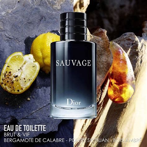 dior sauvage eau de toilette edt|eau sauvage christian dior vintage.